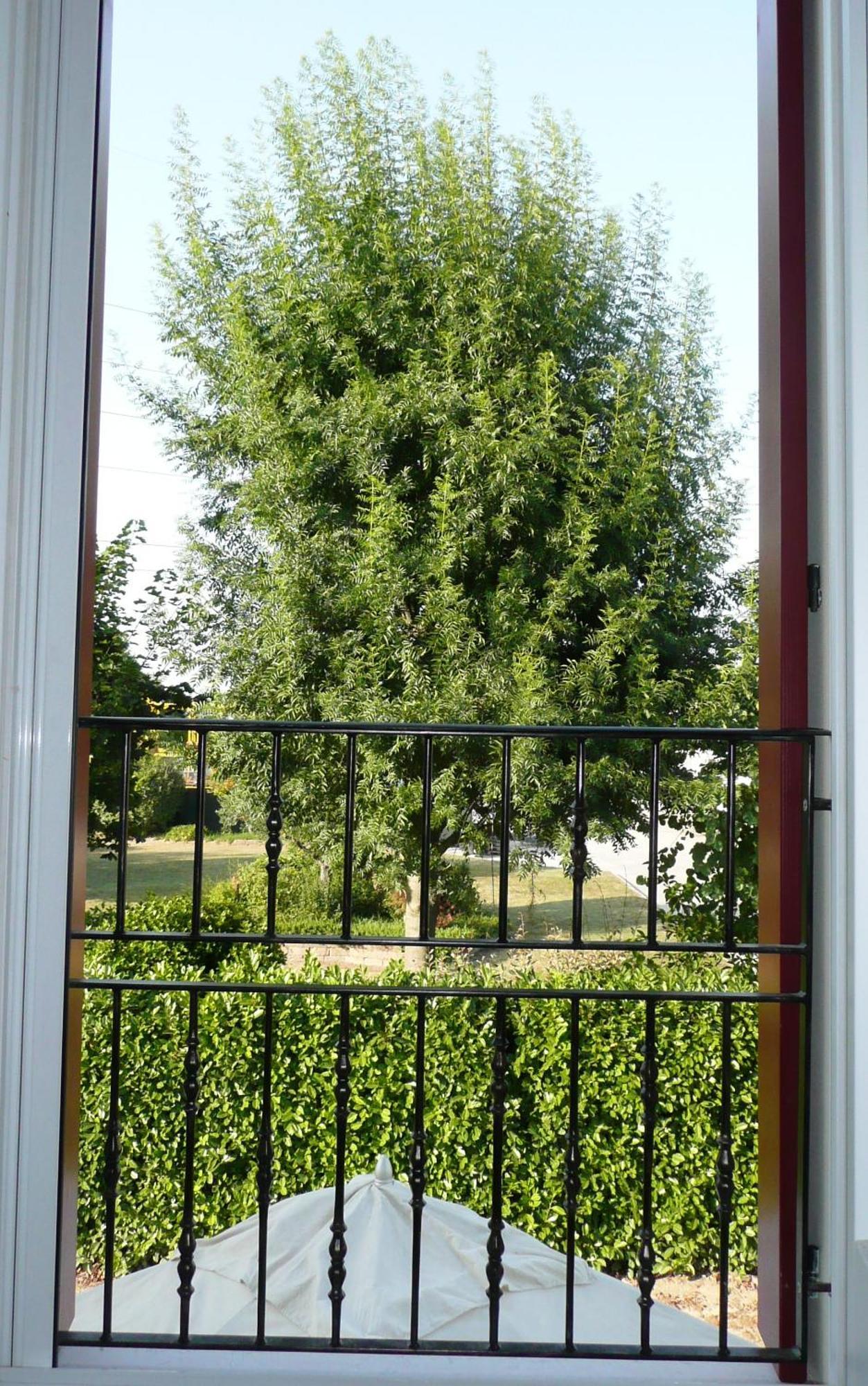 Agriturismo Campoverde Camponogara Eksteriør bilde